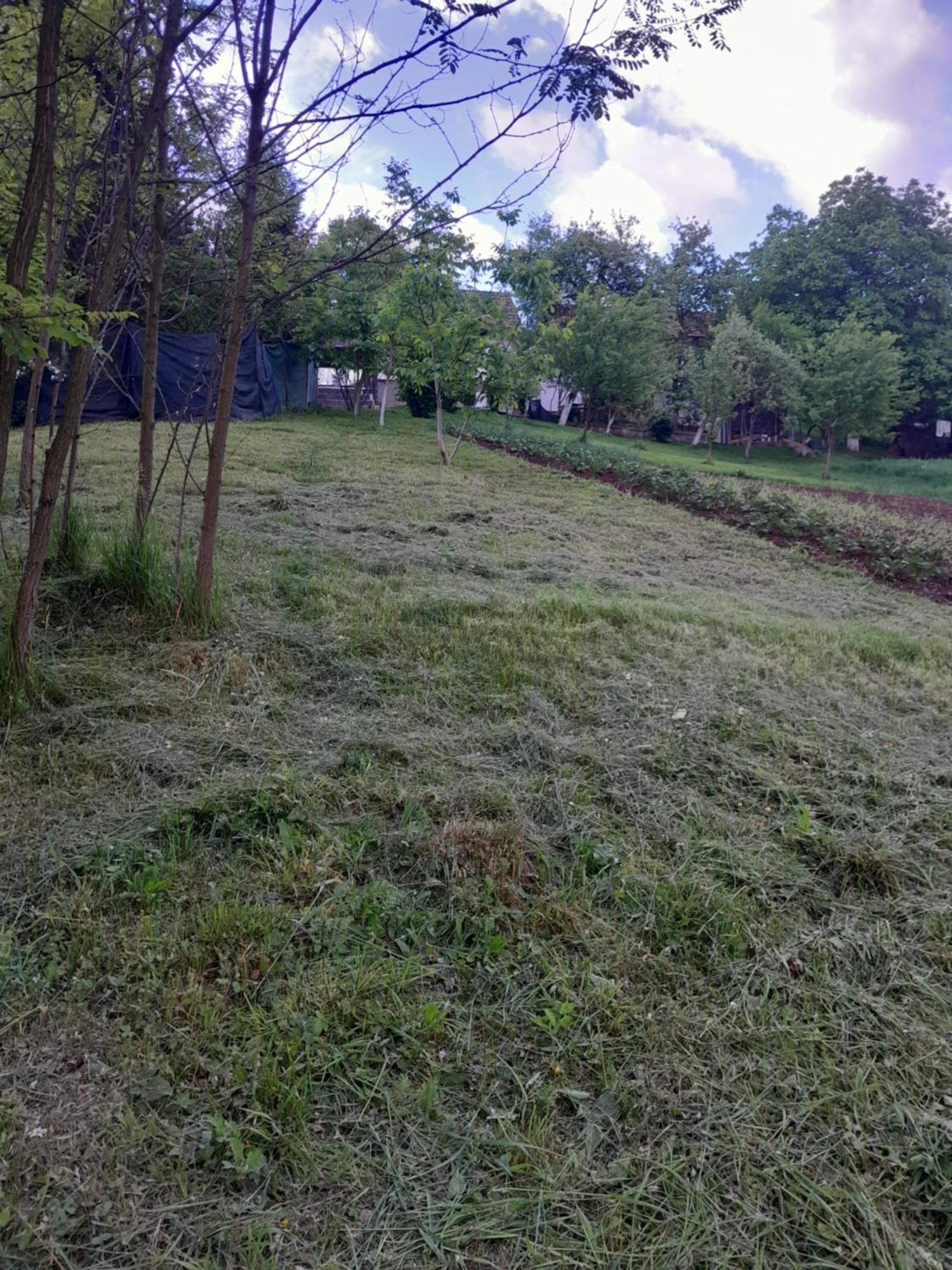 Dolores Tesanj Экстерьер фото